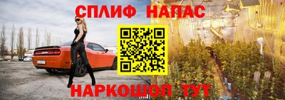 шишки Ивантеевка