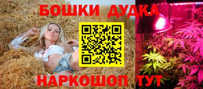 сатива Железногорск