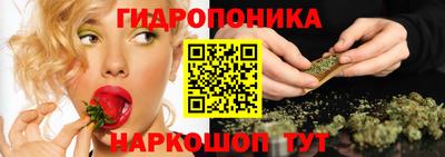 шишки Ивантеевка