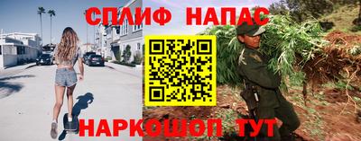 сатива Железногорск