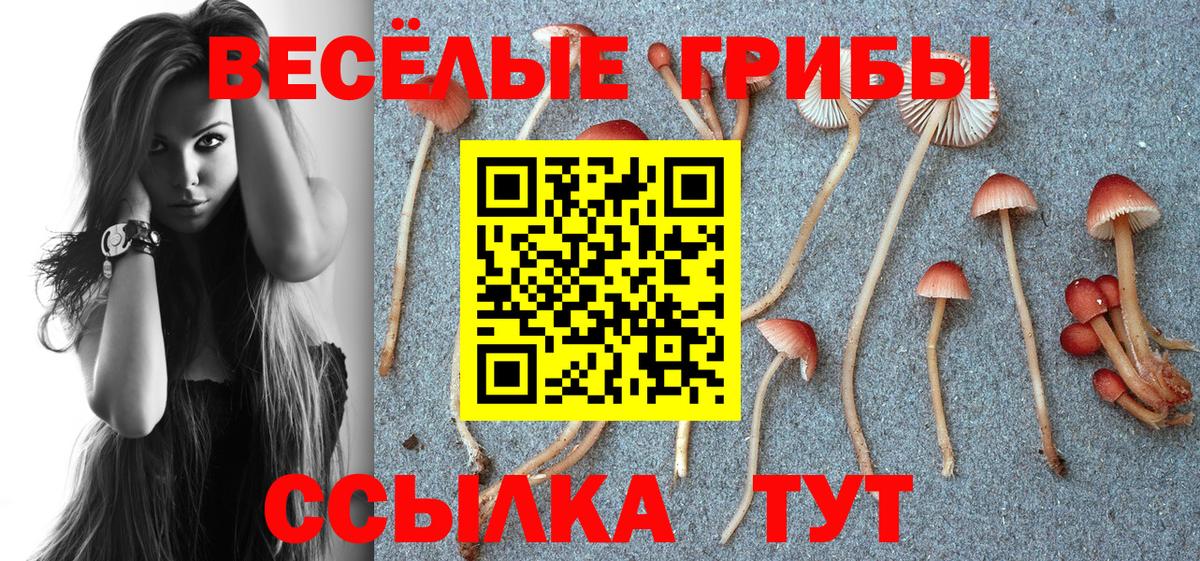 Минусинск  Галлюциногенные грибы GOLDEN TEACHER  Псилоцибиновые грибы MAGIC MUSHROOMS  закладки  Вход с VPN 